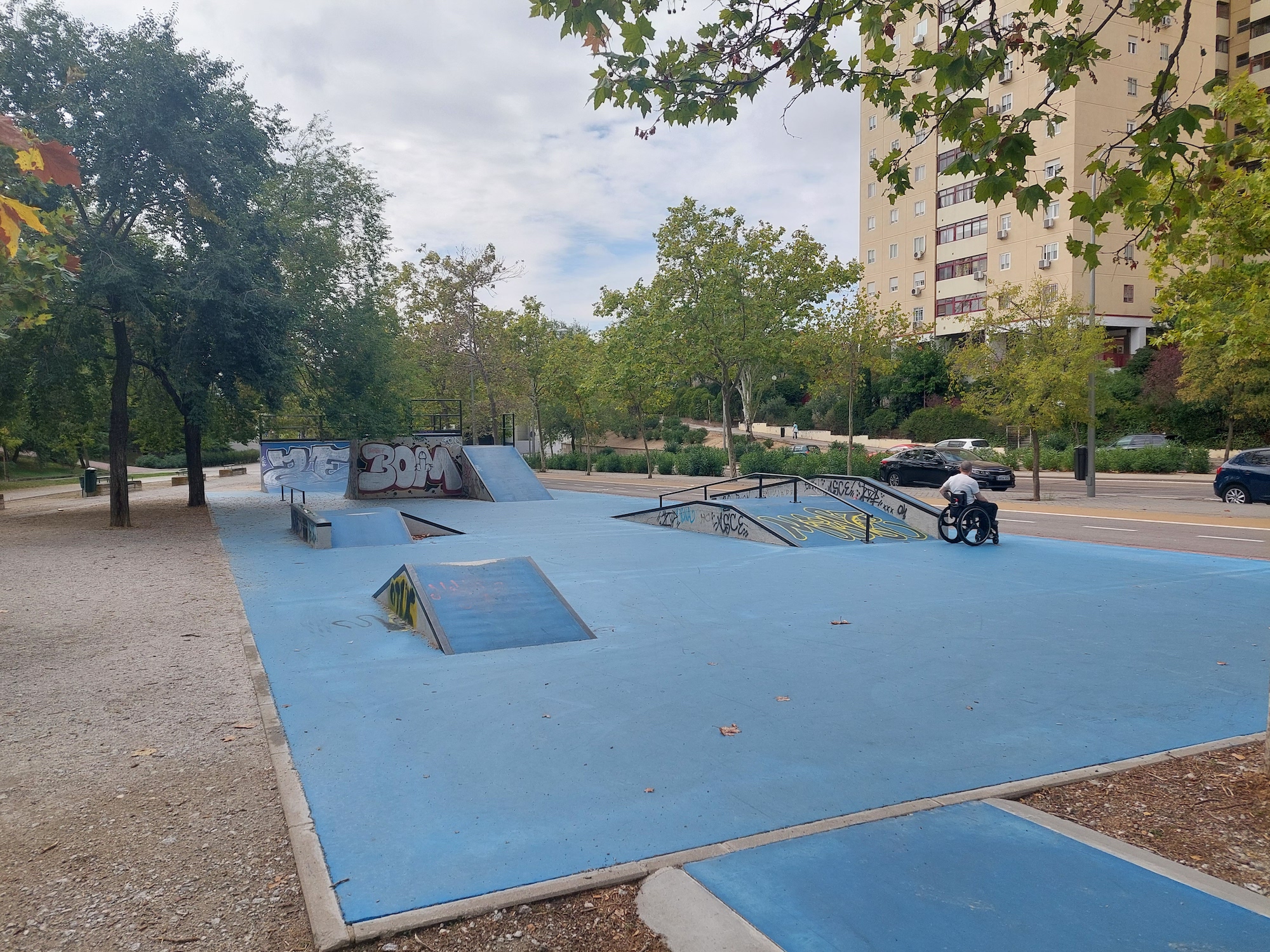 Pavones skatepark